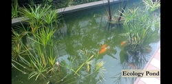 Bartley Ridge (D13), Condominium #506360931